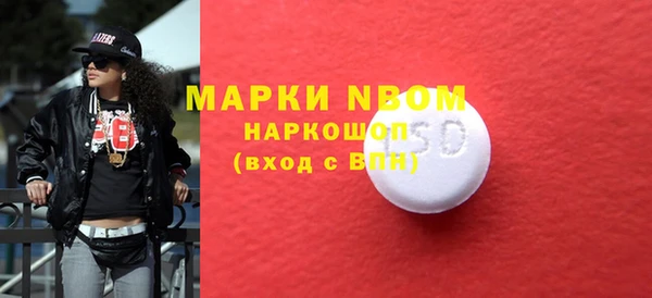 a pvp Новозыбков