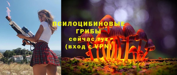a pvp Новодвинск