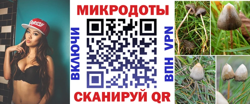 kraken tor  Новоаннинский  darknet формула  Псилоцибиновые грибы Magic Shrooms 